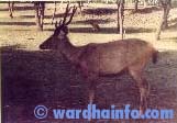 Bor Dharan - Wardhainfo.com