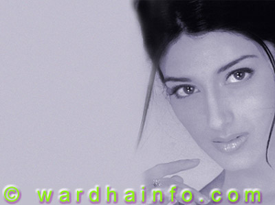 Wardhainfo.com - Model of the Week !